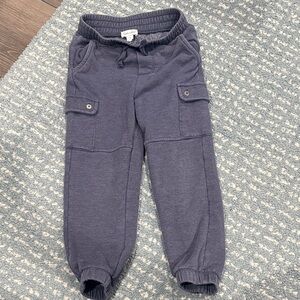 Splendid Navy Sweatpants with Cargo Pockets